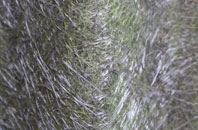 Corsham fibreglass roof work